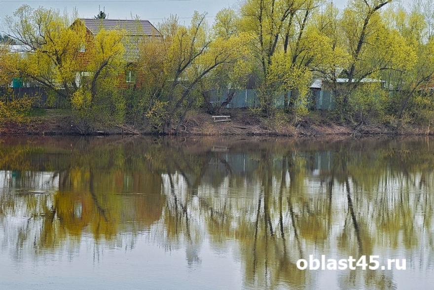 В двух реках Курганской области за сутки вырос уровень воды