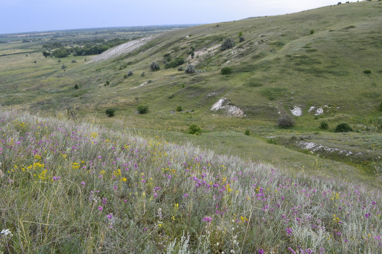 _DSC0809.JPG