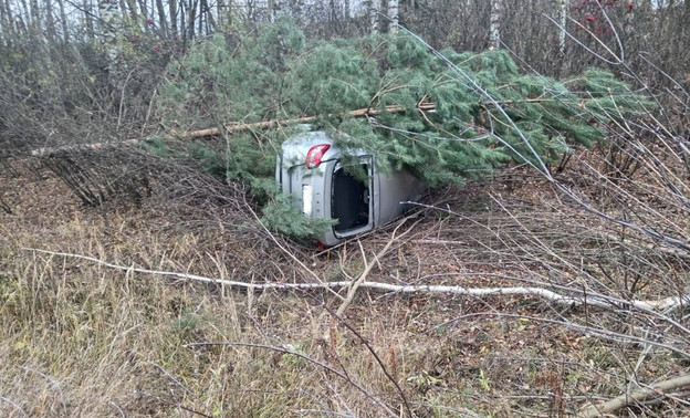 В Яранском районе автомобиль влетел в дерево