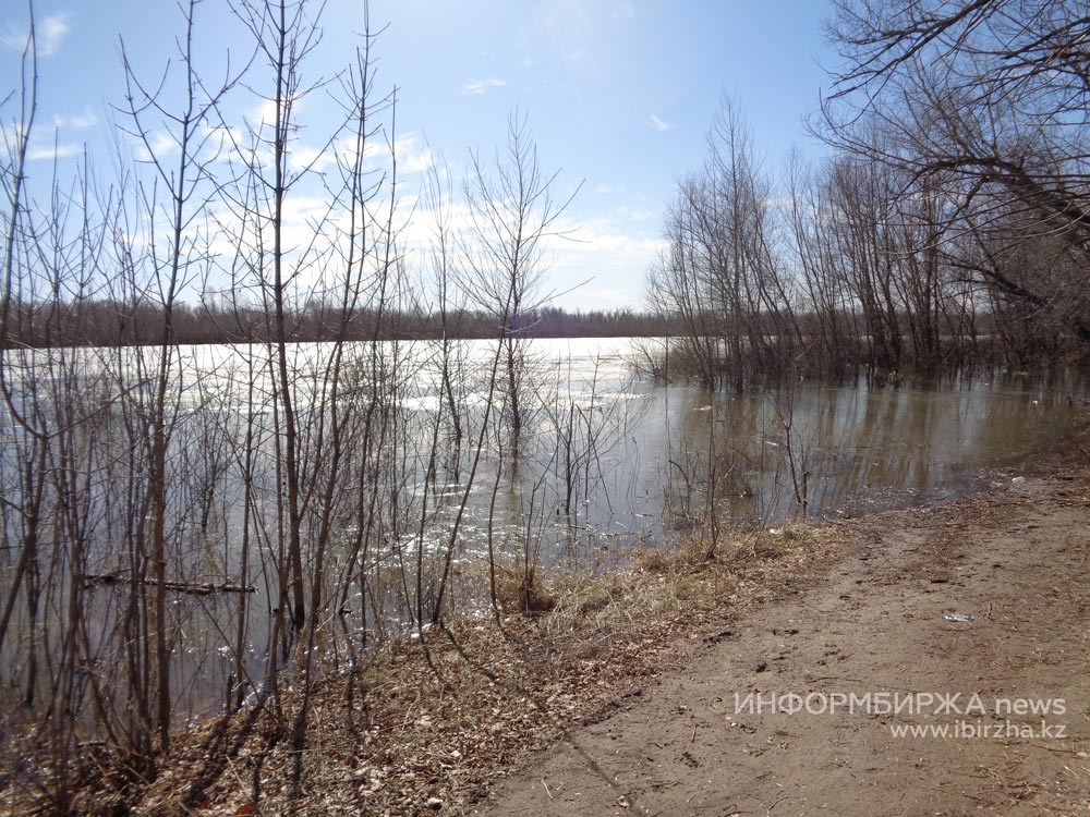 Какой уровень реки сакмара в оренбурге