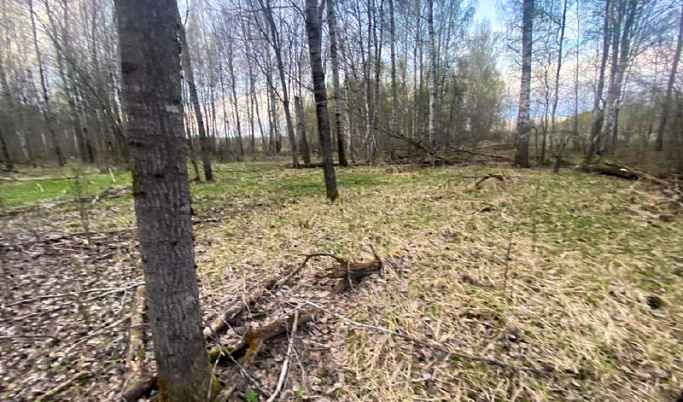 В Тверской области около деревни обнаружили труп