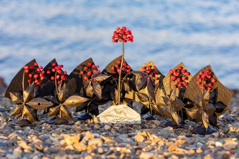 Символический "Женьшень" — приз победителям конкурса "Живая тайга" Александр Хитров, экологический пресс-клуб "Последняя среда"