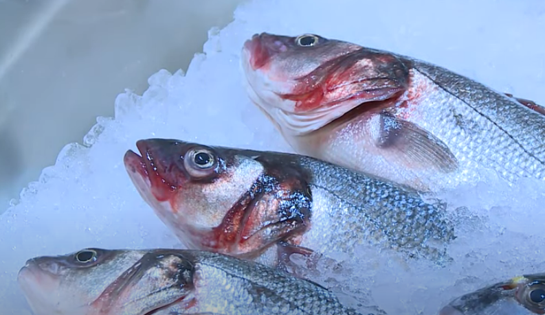 Гарра руфа фиш спа. Рыбы очищают воду. Рыба доктор. Ихтиолог рыбовод. Рыбный врач.