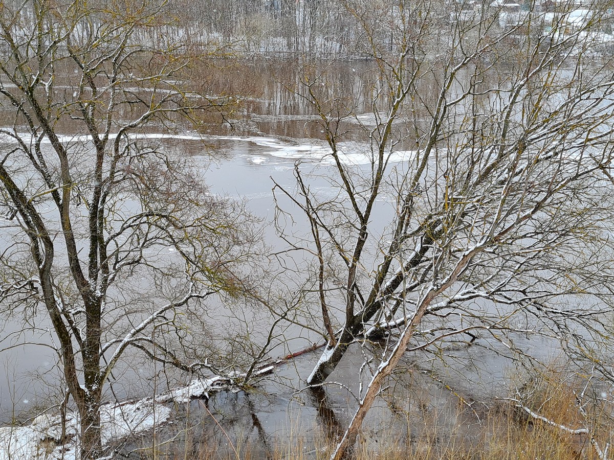 Река Даугава. Уровень воды в реке Западная Двина Полоцк. Река сороки Молдова.
