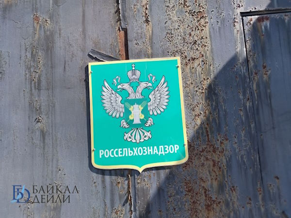 В Бурятии пункты приёма и отгрузки древесины захламили отходами