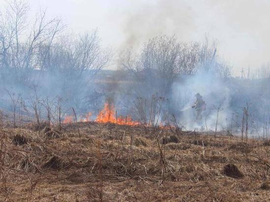 Пожароопасный сезон в 33 регионе официально закрыли