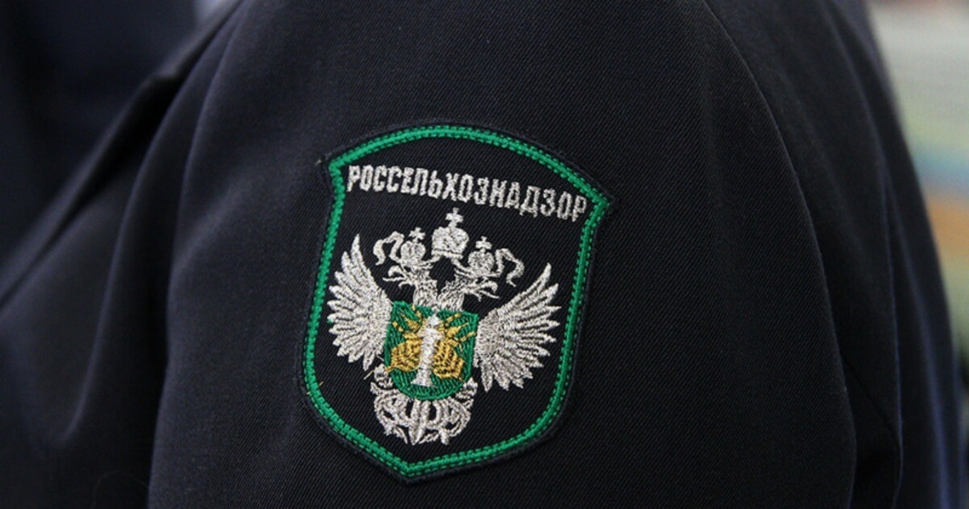 Земельный надзор россельхознадзора. Северо-кавказское Межрегиональное управление Россельхознадзора. Россельхознадзор ветеринарный надзор. Россельхознадзор фото.