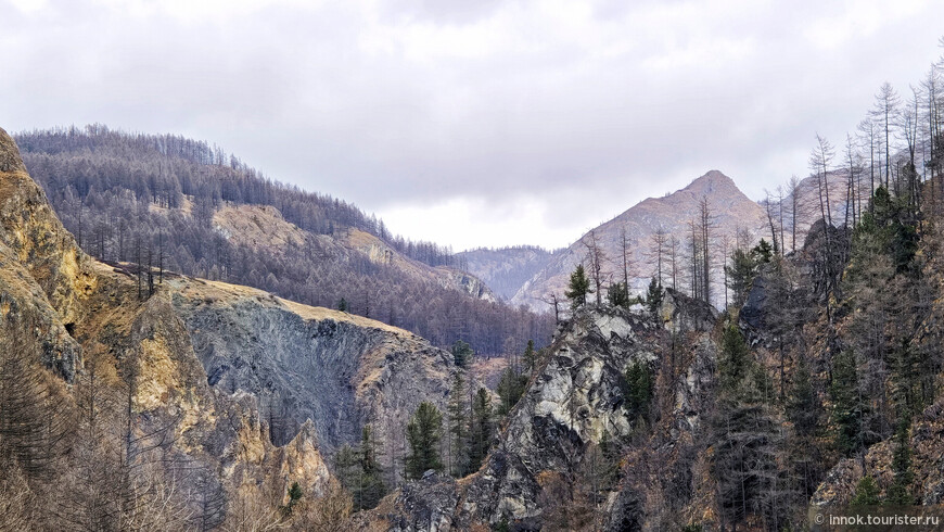 Вечный голец. Где ветер пишет по камню песню 