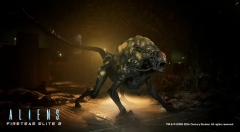 Не ксеноморфом единым. В кооперативном шутере Aliens: Fireteam Elite 2 будет множество типов врагов