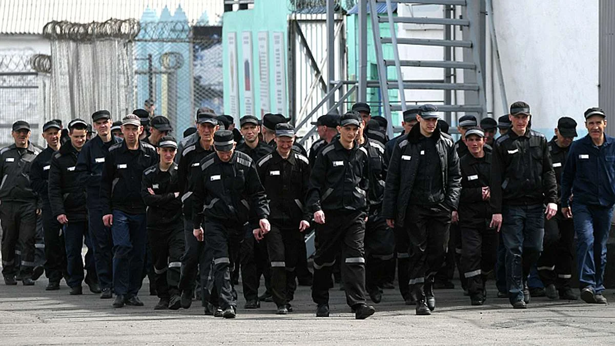 исправительная колония 3 барнаул. исправительная колония 1 владикавказ. физическое воспитание осужденных. пытки заключенных в саратовской больнице фсин. мобилизация осужденных.