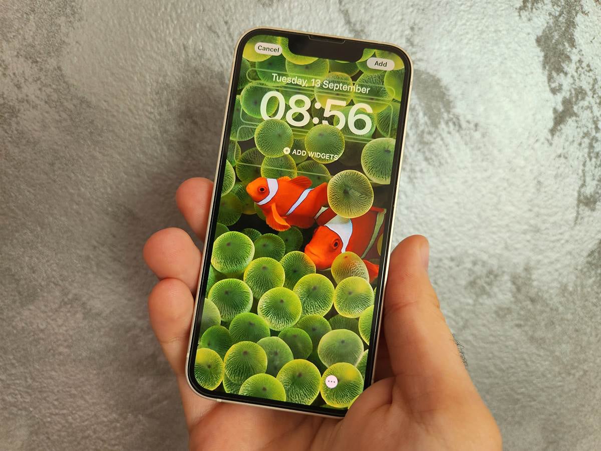 Iphone 15 natural. Айфон. Последний айфон. Айфон 9. Айфон 16.