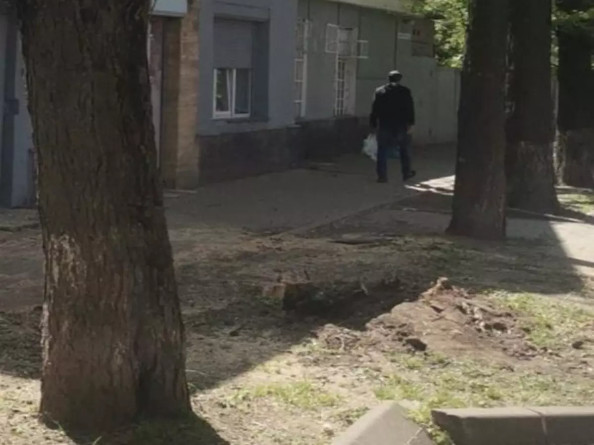 В Ростове на Варфоломеева убрали рухнувшее на здание дерево