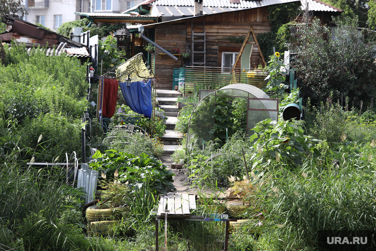 Виды города. ЦПКиО. Курган, цпкио, дача, цпкио курган