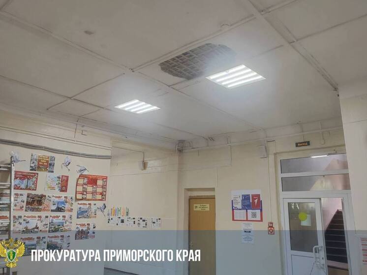 Александр Бастрыкин взял на контроль дело об обрушении потолка в школе Владивостока