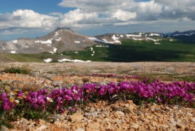 Сегодня отмечается Международный день гор, что особо значимо для Камчатки 3