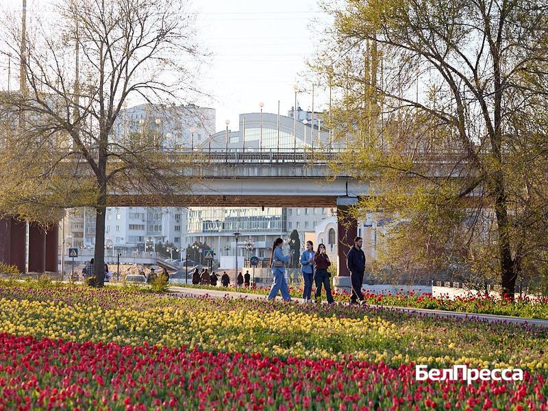 Как Белгород готовится отметить День Победы (фоторепортаж)