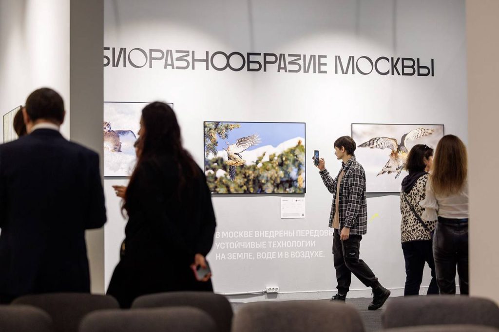 Горожане могут принять участие в фотоконкурсе «Золотая черепаха» в номинации «Дикая природа Москвы». Фото: пресс-служба Департамента природопользования и охраны окружающей среды города Москвы