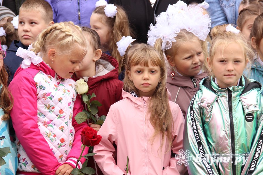 Экономический лицей великие луки