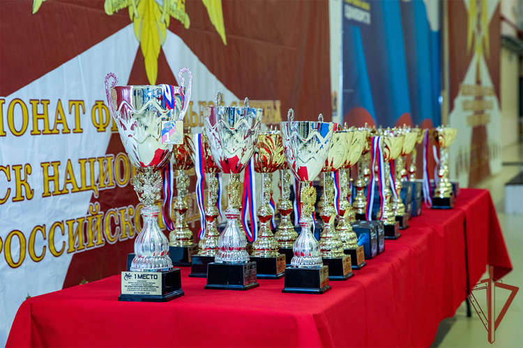 Бойцы СОБР из Тюмени стали призерами чемпионата Росгвардии по комплексному единоборству 