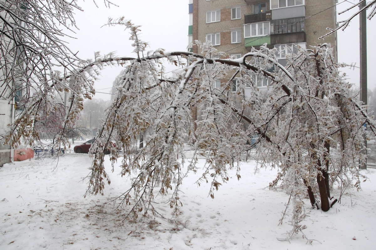 Ледяной дождь в ростове на дону