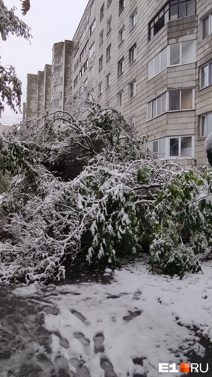 Екатеринбург снег. Снег в Екатеринбурге. Снег фото. Снежная зима. Снежный Покров.