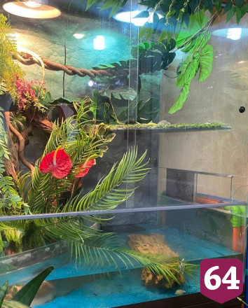 Игуана Глаша и попугай Гоша дарят эмоции в Энгельсском доме-интернате