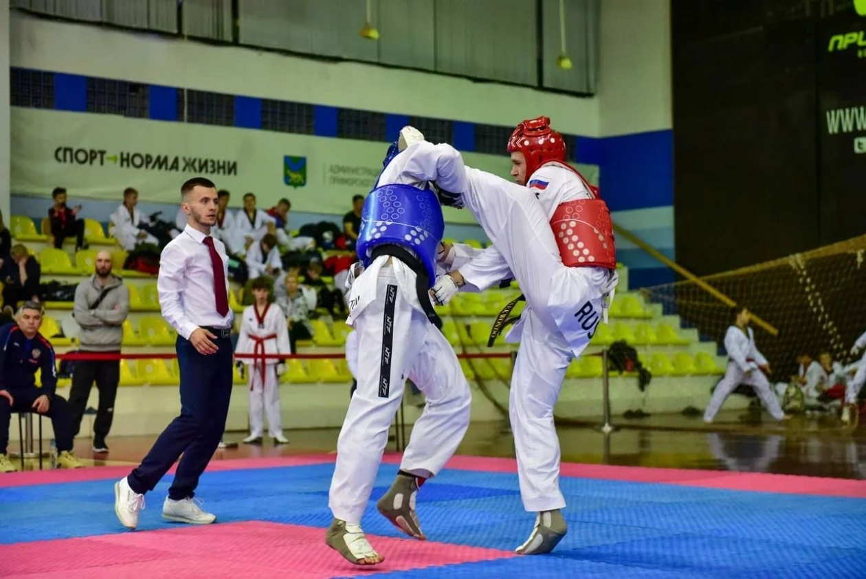 Туркменский корсак. Тхэквондо корсаков единство. Vulpes corsac. Логотип корсак. Степная лиса крыма.