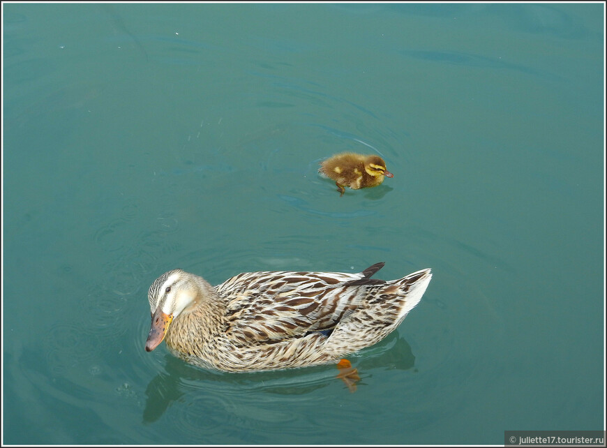 Затерянный мир Сулакского каньона