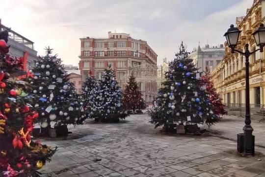 Дизайнерские ели – традиционная галерея под открытым небом открылась в девятый раз