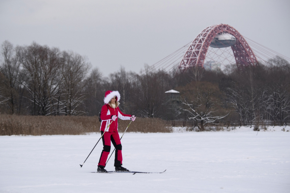 Серебряный бор