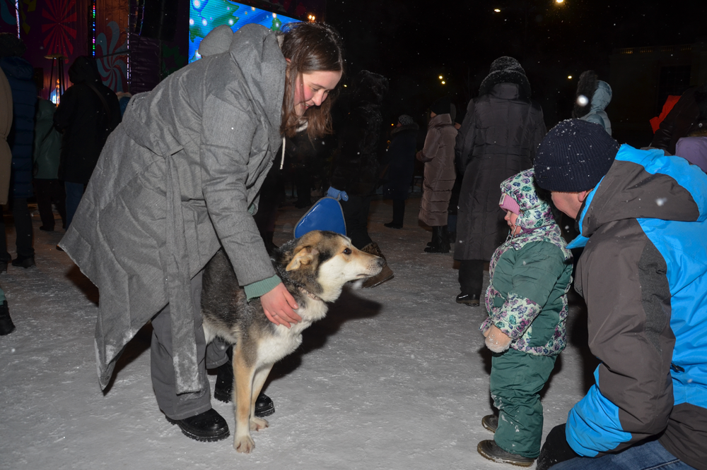 Хочу домой песня