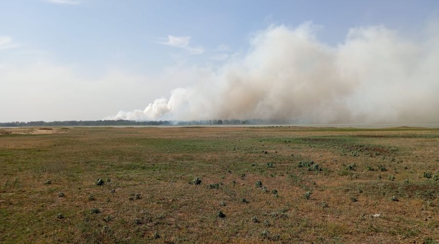 пожар в лесничестве