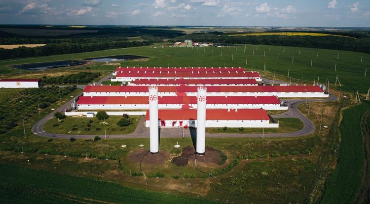 В «Русагро» объяснили передачу доли «Агро-Белогорья» в управление Белгородской области