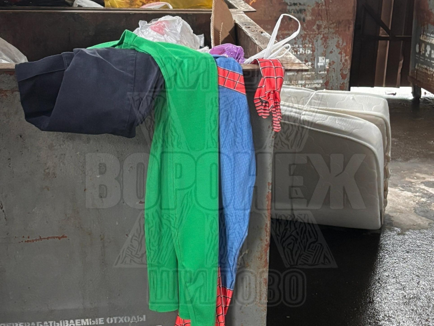 Костюм Человека-паука — без паука, но с интригой нашли в Воронеже