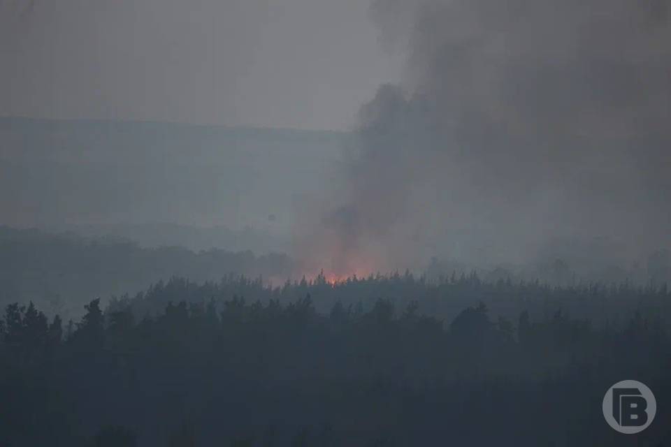 Чрезвычайная пожароопасность ожидается в Палласовском районе