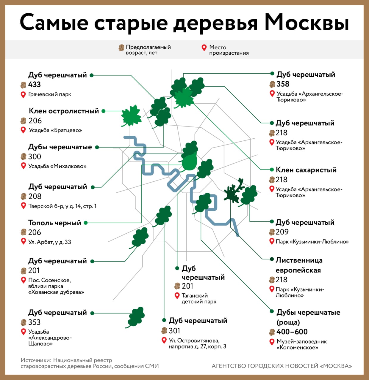 деревья которые растут в москве названия