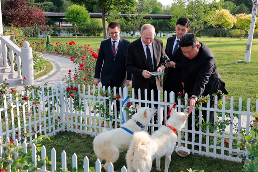 Путин и собаки 