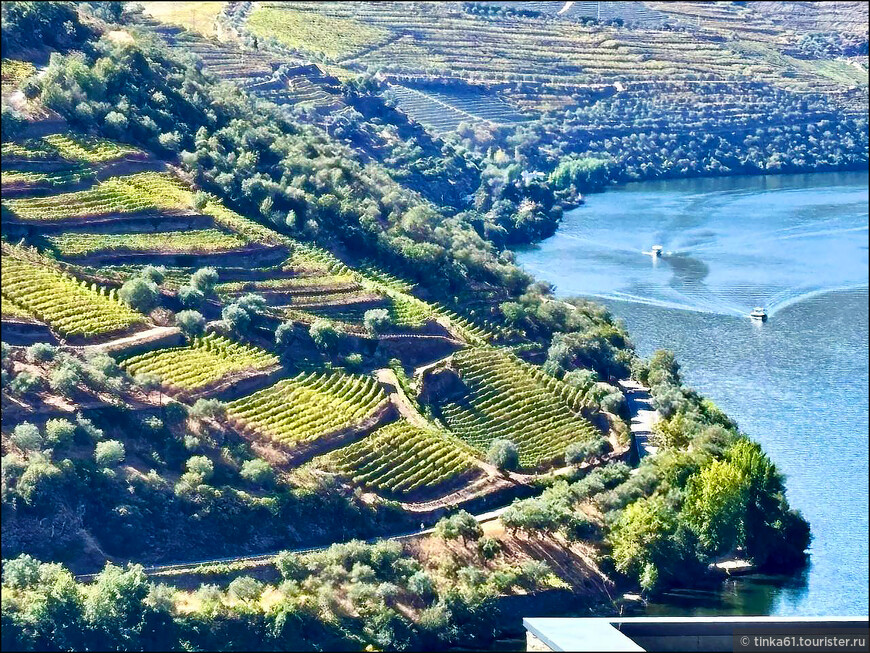 Европейский Девичник. Куда податься из Порту