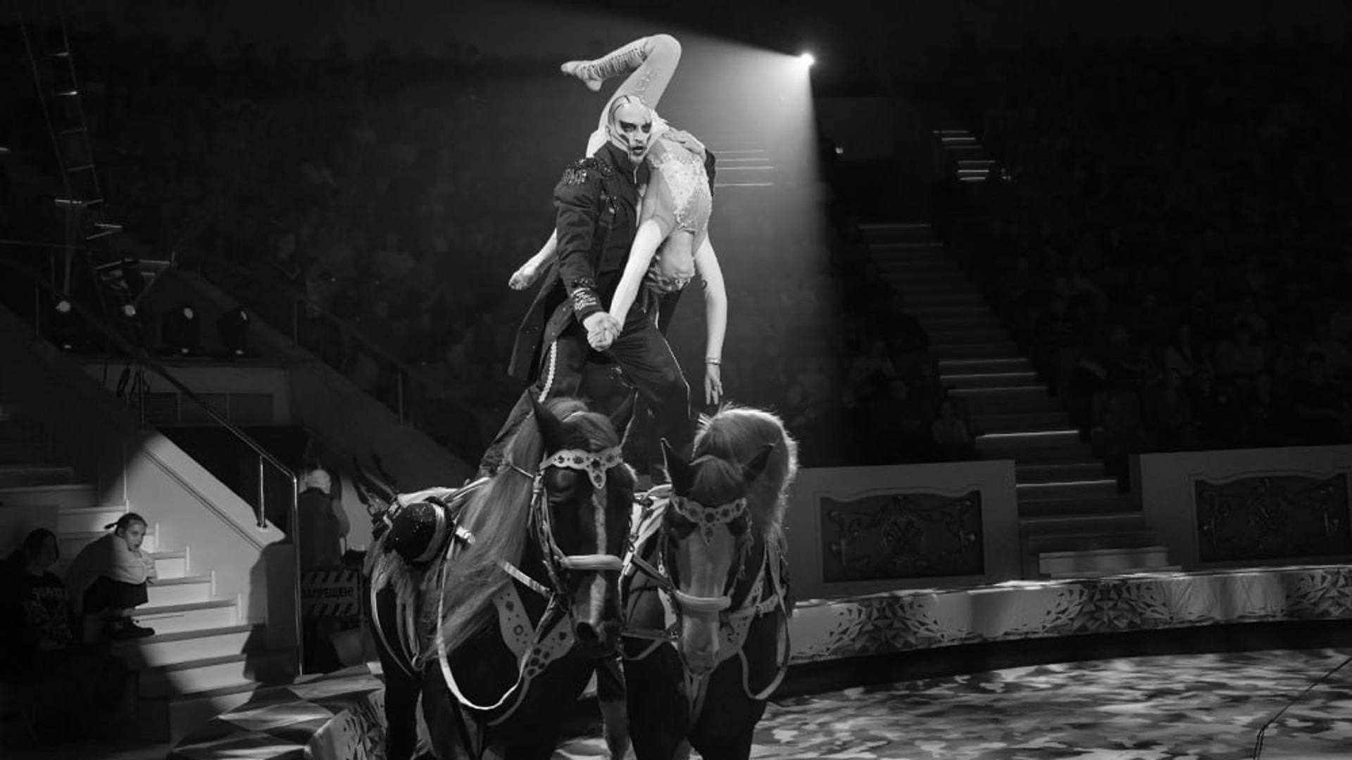Что случилось в московском цирке. Укротитель лошадей.