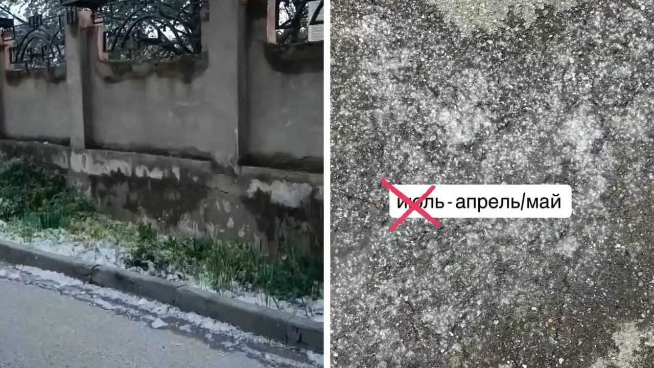  © Скриншоты фото и видео из телеграм-каналов «Кубанские новости» и «Анапа Черноморье»