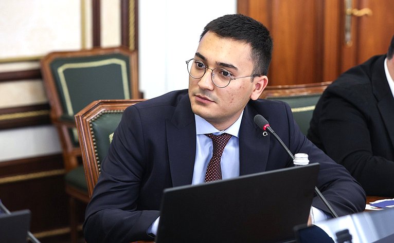 Встреча сенаторов РФ с депутатом Великого национального собрания Турции, председателем группы дружбы с Россией Великого национального собрания Турции Муратом Байбатуром