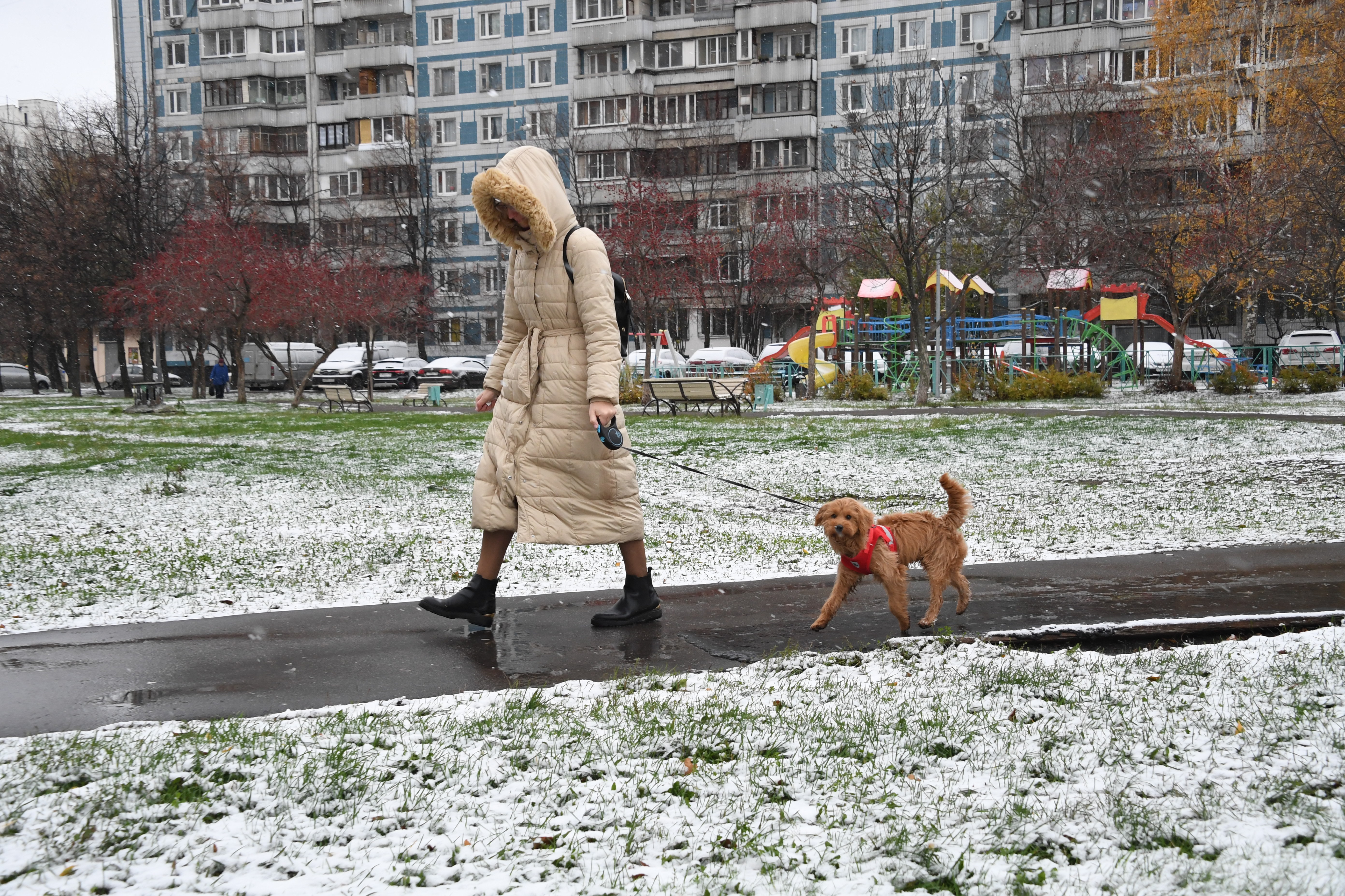 Холодно ли на улице. Снег в Москве. Мокрый снег. Снегопад в Москве. Ноябрьское потепление в Москве.