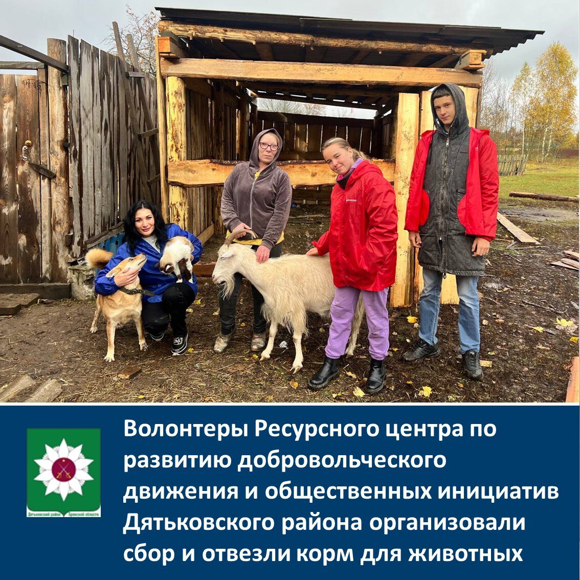 Приюту для животных в деревне Сельцо Дятьковского района помогают волонтеры