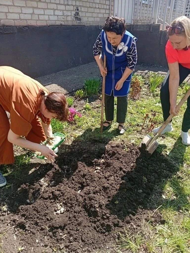 Курские компании подарили школам и детским садам клубни георгинов