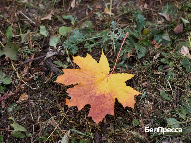 Как отдохнуть белгородцам 7–9 ноября - Изображение 1