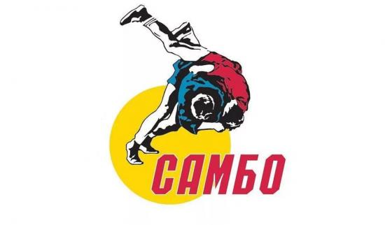 Самбистки Приангарья одержали победу на всероссийских соревнованиях в Бийске