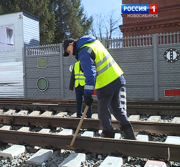Чемпионат профессионального мастерства