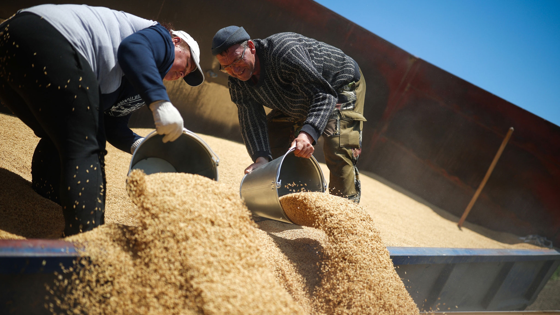 Польские фермеры высыпали украинское зерно рядом с границей