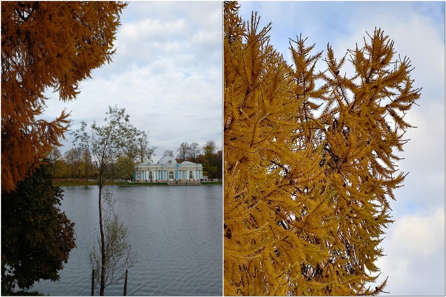 Санкт-Петербург. Царское село. Как я «Другом Петербурга» была