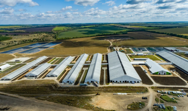 Новый молочный комплекс.